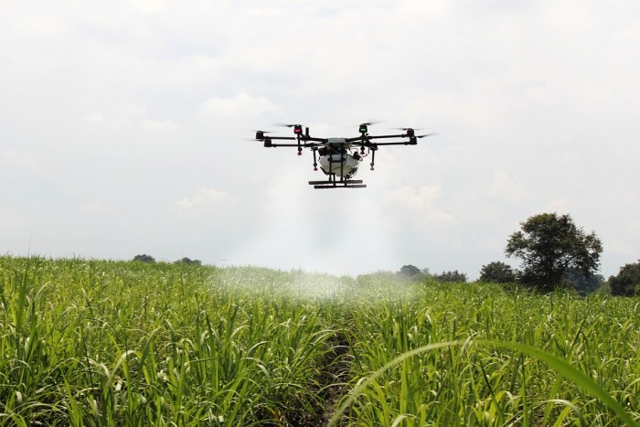 Drone-Farm-Spraying-Sugar-Cane-Spray-Sugar-Cane-2746350.jpg