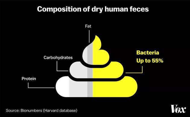 细菌占人类粪便重量的50%以上