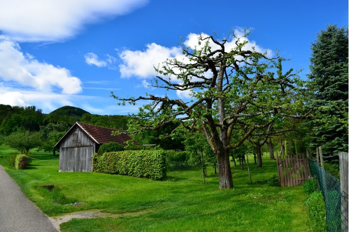 Lawn-Rural-Areas-Wood-House-Nature-Outdoors-Cloud-3097494.jpg