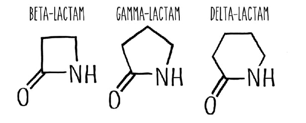 beta-lactam-1.jpg