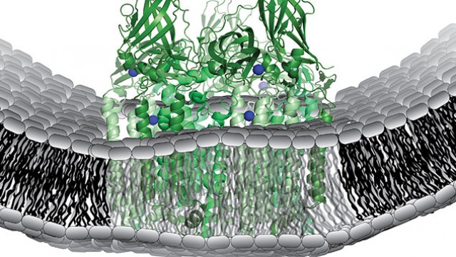 methane-methanol-conversion-enzyme.jpg