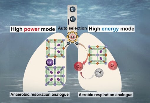 seawater-powered-battery-dual-power-switching-1.jpg