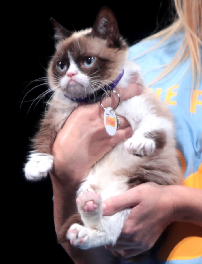 Grumpy_Cat_by_Gage_Skidmore.jpg