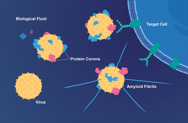 herpes-alzheimers-1.jpg