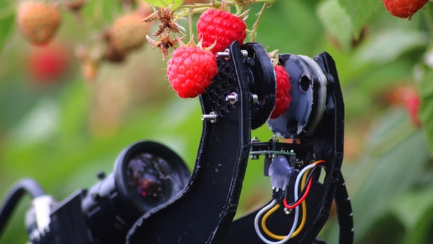 fieldwork-robotics-fruit-harvesting-robot-field-trials-1.jpg