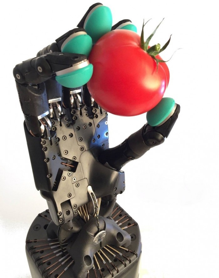 touch-transmitting-robotic-hand-1.jpg