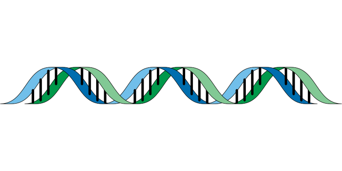 dna-148807_1280.png