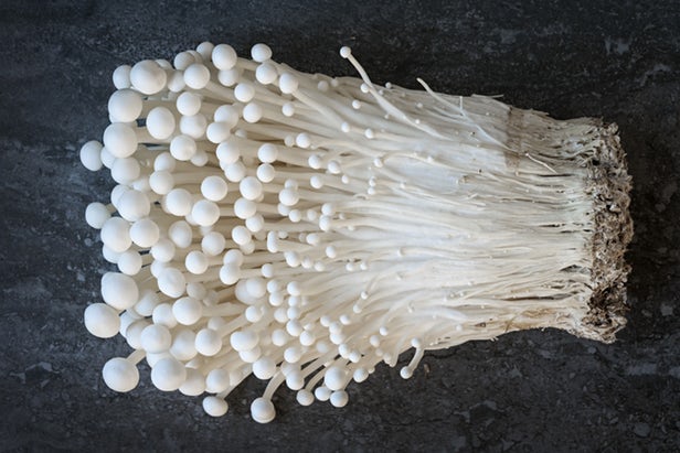 mushroompicker图片