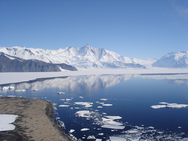 antarctic1.jpg