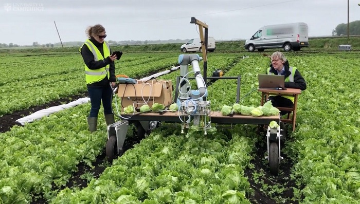 lettuce-robot-1.jpg