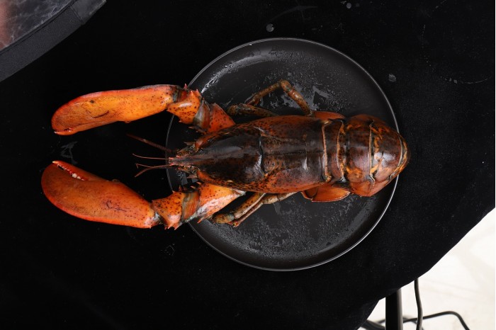 boston-lobster-3918533_1280.jpg