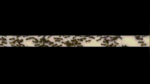 ezgif-2-0367311f27c3.gif