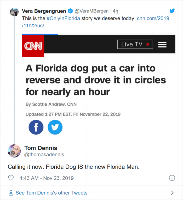 Screenshot_2019-11-23 Step aside, Florida Man, this Florida dog did donuts while sitting alone in a car(1).png