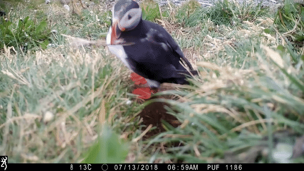 https://wx4.sinaimg.cn/large/006aIdVlly1gale1ojh8fg30go09ee8b.gif