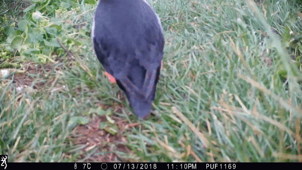 https://wx3.sinaimg.cn/large/006aIdVlly1gale26zxhvg30go09e7wt.gif