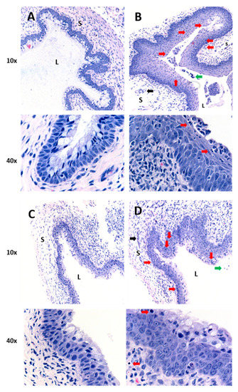 ijms-21-00337-g002-550.jpg