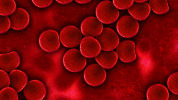 Screenshot_2020-04-09 Pixabay上的免费图片 - 血, 血液血浆, 红血细胞, 等离子, 感染, 健康, 血液细胞.jpg