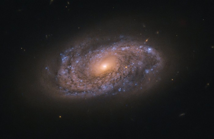 potw2015a.jpg