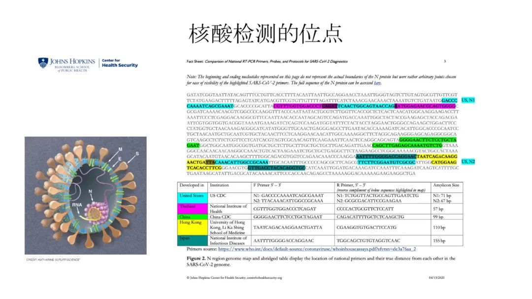 北京大学教授黄岩谊：新冠病毒实验室如何进行检测研究?