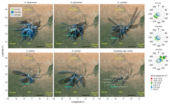 结合建模工具，科学家对不同种类的蚊子的迁徙距离进行了分析