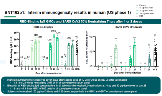 BNT162b1的中期免疫原性数据