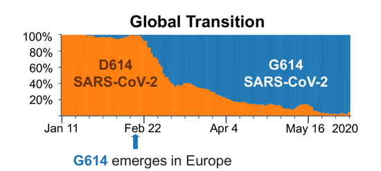2月下旬起，一种变异的新冠病毒株（G614 SARS-Cov-2，蓝色）开始席卷全球