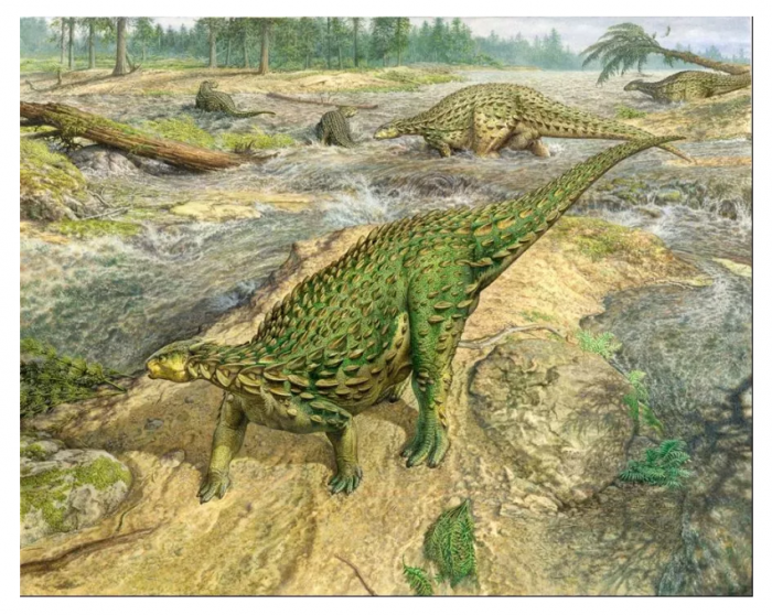 93亿年前的棱背龙(scelidosaurus)遗骸化石,在伦敦自然历史博物馆存放