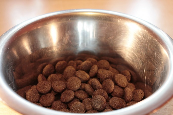 food-bowl-281978_1280.jpg