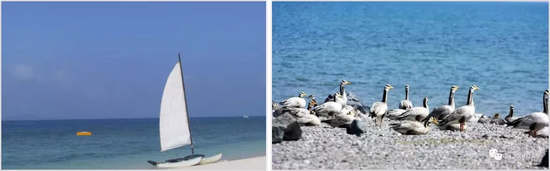 图1 曾经的咸海碧浪清波，鱼鸟成群