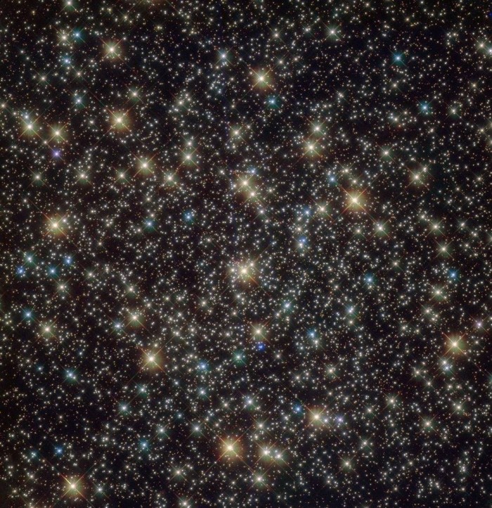 c79-1.jpg