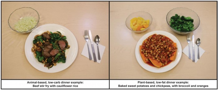 foods.jpg