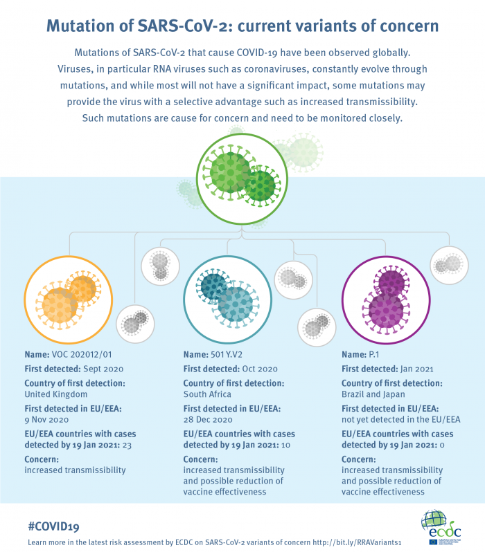 Infographic-RRA-variants_0.png
