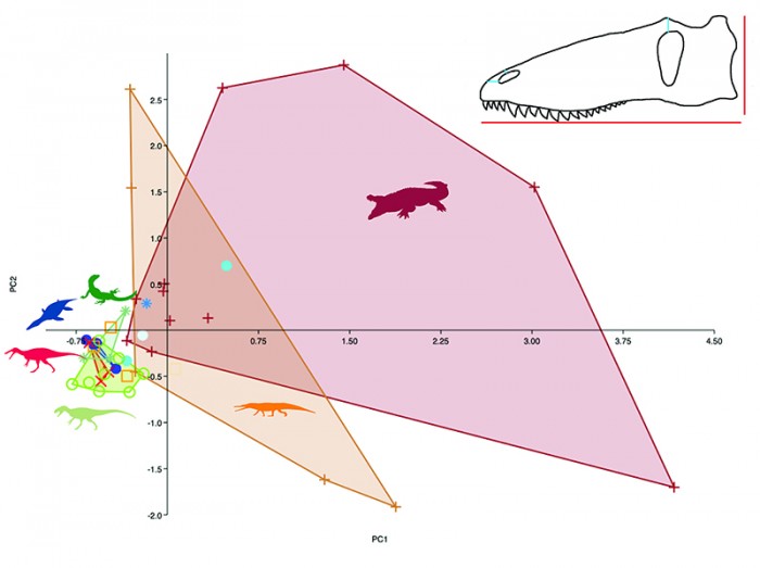 figure2.jpg