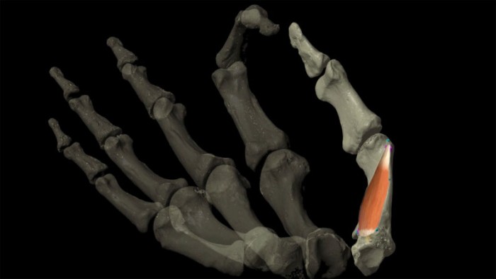 012721_bb_thumb_inline-800x450.jpg