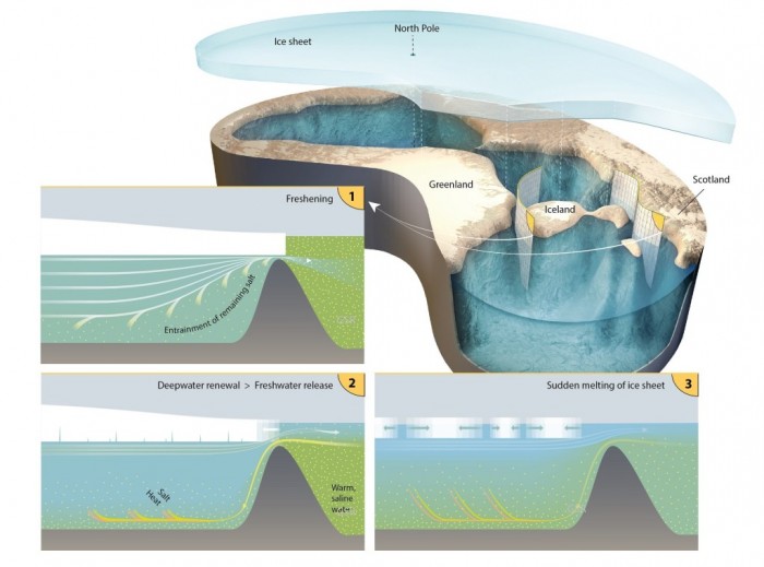 ArcticShelf.jpg