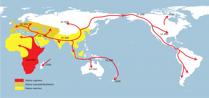 Spreading_homo_sapiens_la.svg.png