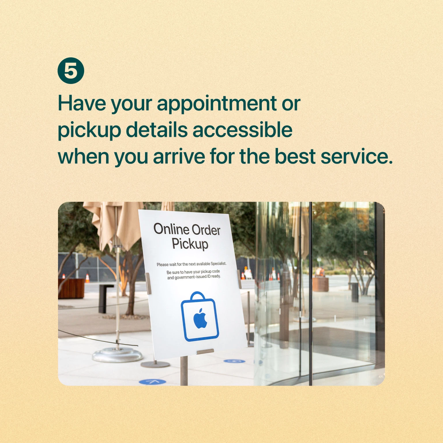 WhatToKnowCard5.webp