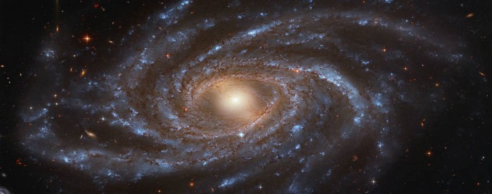 ngc2336.jpg