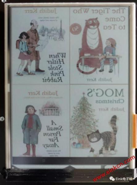 eink pcep ebook.jpeg