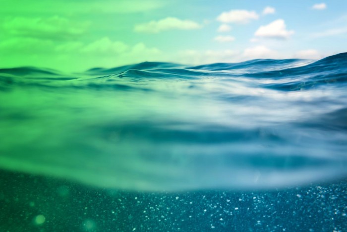 Ocean-CFC-11.jpg