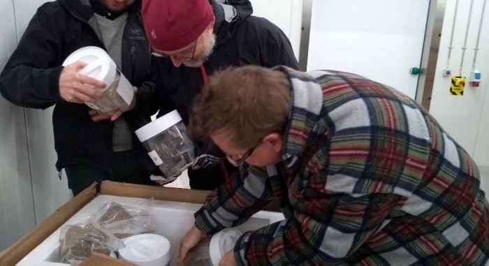 Scientists-Find-Forgotten-Ice.jpg