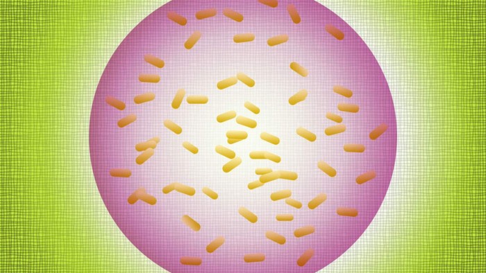 bacteria-sphere-1280x720.jpg