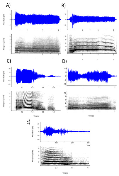 fig-2-1x.jpg