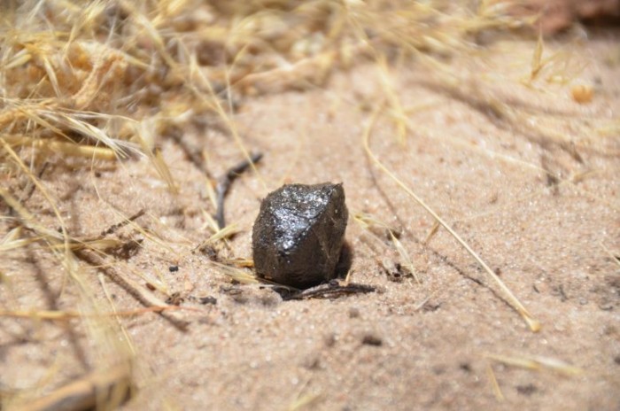 Fragment-of-Asteroid-2018-LA-777x515.jpg