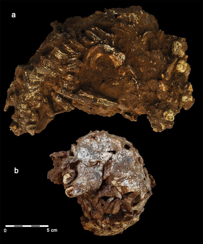 Mtoto-Remains.jpg