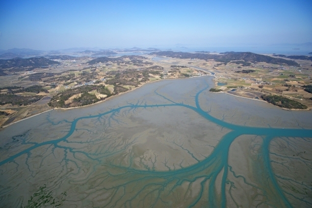 灘塗,是海灘,河灘,湖灘的總稱,指沿海大潮高潮位與低潮位之間的潮浸