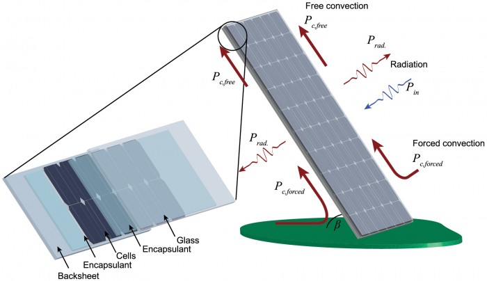 pip3405-fig-0001-m.jpg
