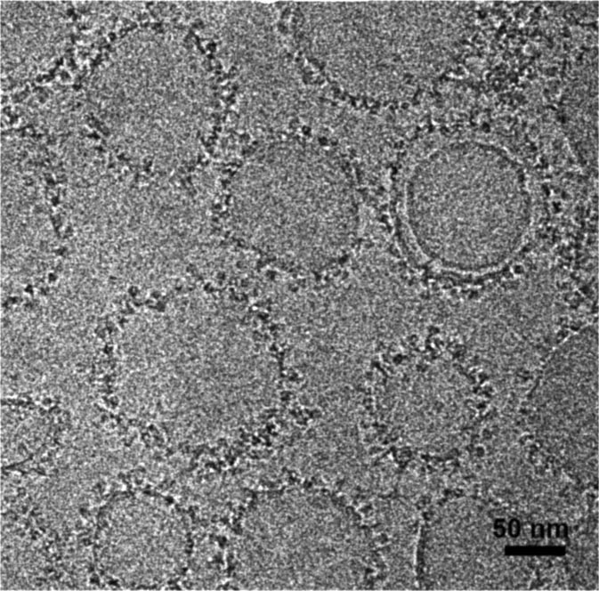 Nanoparticle-Based-Flu-Vaccine.jpg