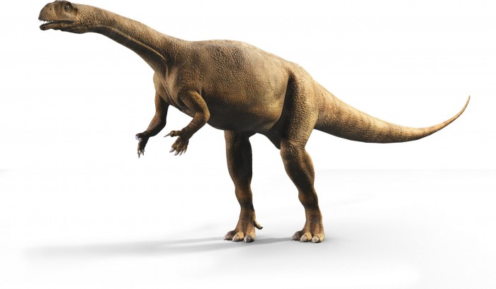 Massospondylus-carinatus-scaled.jpg