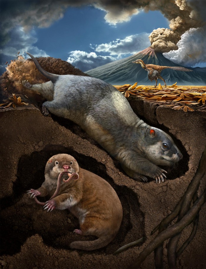 Digging-Mammal-Reconstruction.jpg